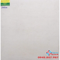 Đá mờ cao cấp 60x60 kis FM614