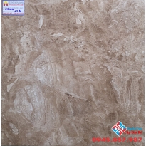 Gạch bóng kiếng 60x60 lát nền  5673