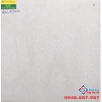 Đá bóng kiếng 60x60 mikado 6002