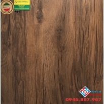 Gạch ấn độ 60x60 lát nền giả gỗ E094