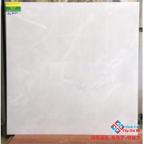 Gạch bóng kiếng catalan 80x80 lát nền 8052