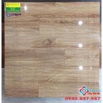 Gạch bóng kiếng cao cấp 60x60 vân gỗ 69003
