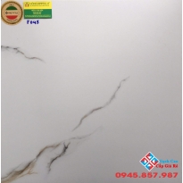 Gạch ấn độ 60x60 lát nền E045