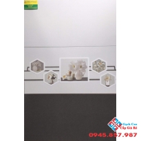 Gạch ốp tường bếp 30x60