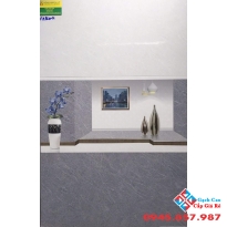 Gạch ốp tường 30x60 cao cấp