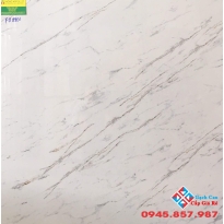 Đá bóng kiếng 80x80 kis FB8801