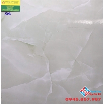 Gạch 50x50 lát nền vitto 509