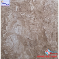 Gạch bóng kiếng 60x60 lát nền  5673