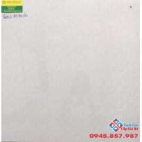 Đá bóng kiếng 60x60 mikado 6002