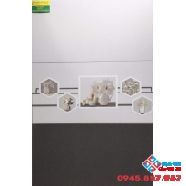 Gạch ốp tường bếp 30x60