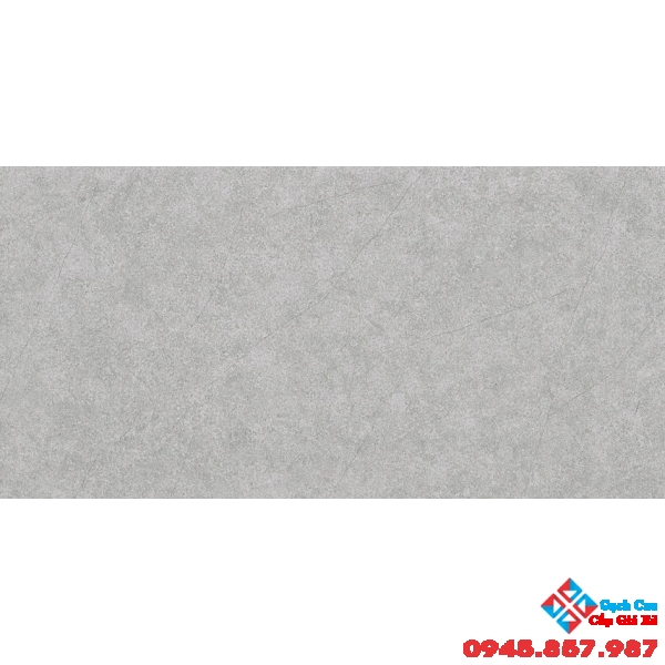 Gạch men mờ hoàng gia 30x60 R366002