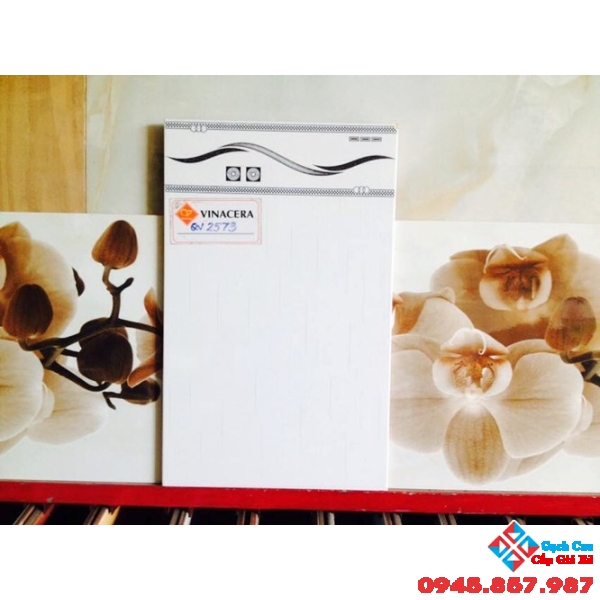 Gạch giá rẻ Viglacera 25x40 Q2573
