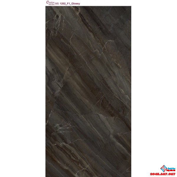 GẠCH BÓNG KIẾNG 60X120 CATALAN 1202F1