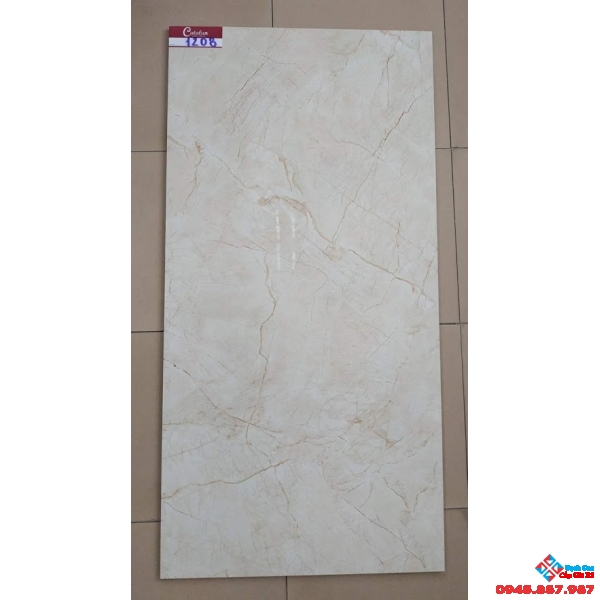 GẠCH BÓNG KIẾNG 60X120 CATALAN 1208