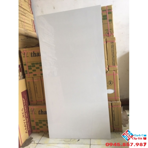 GẠCH BÓNG KIẾNG 60X120 MÃ (8)