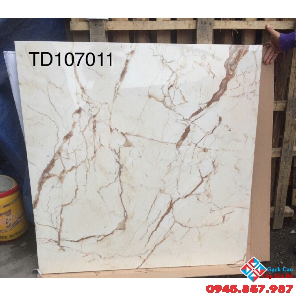 GẠCH BÓNG KIẾNG 1MX1M 107011