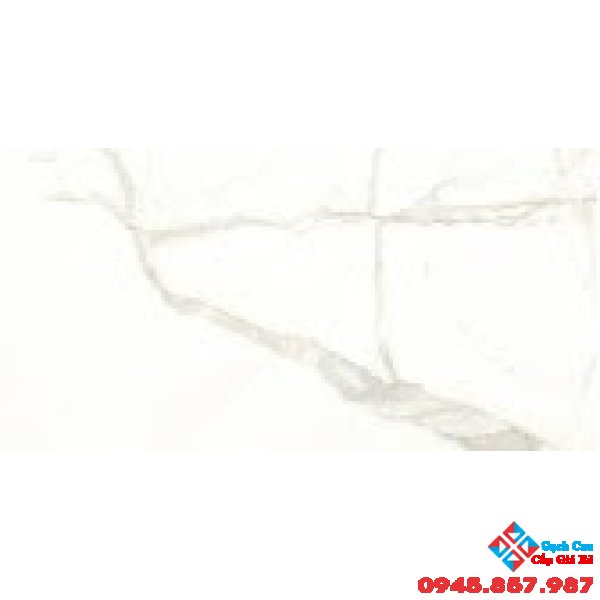 Gạch Ốp Tường 40x80 Catalan 4806