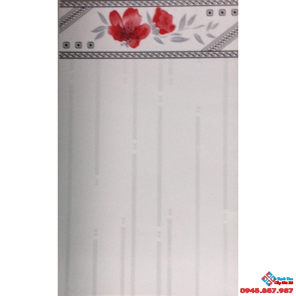 Gạch Roayl ốp nhà trọ 25x40 giá rẻ