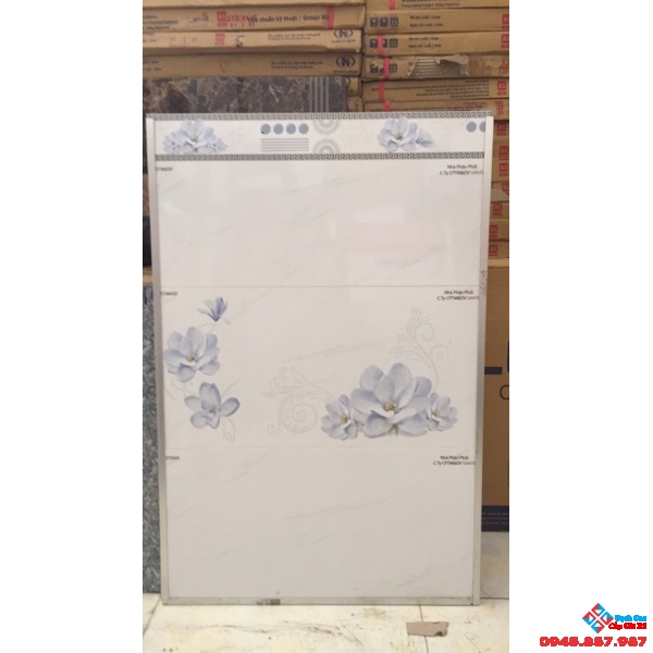 GẠCH ỐP 30X60 BỘ SALE (01)