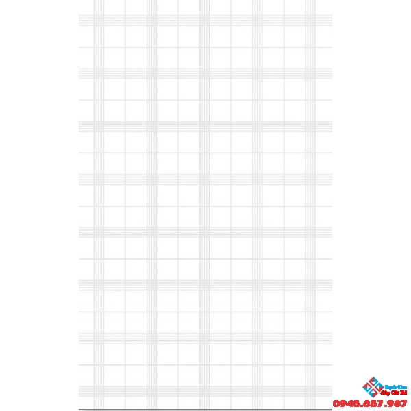 Gạch Thanh Thanh 25x40 HT01