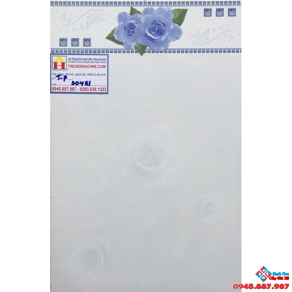 GẠCH ỐP TƯỜNG 30X45 PAK 30451c
