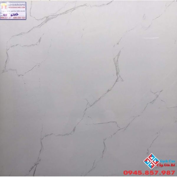 GRANILE 60X60 BÓNG KIẾNG MIKADO MP6202