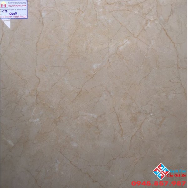 GẠCH BÓNG KÍNH GIÁ RẺ 60X60 CATALAN 6609