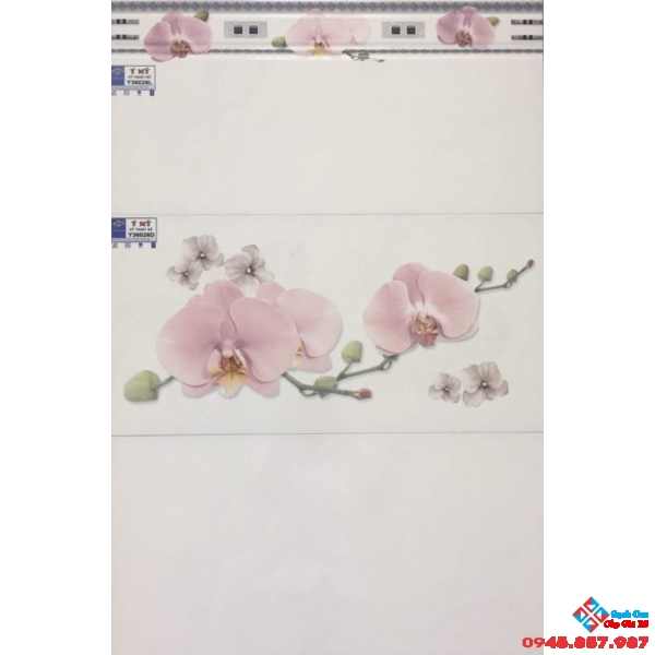 Gạch Ốp Tường 30X60 Ý MỸ Y36026L