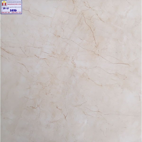 Đá Bóng Kiếng 60X60 PRIMER 9856