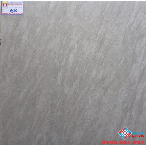 GẠCH CATALAN 60X60 MỜ 6950