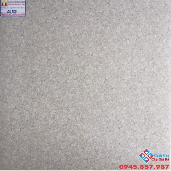 GẠCH CATALAN 60X60 MỜ 6655