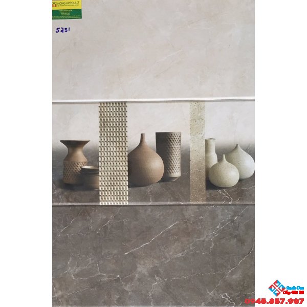 Gạch Ốp Tường 30X60 Giá rẻ 5751