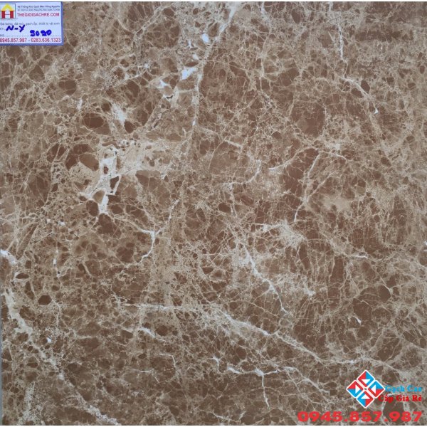 Đá Bóng Kiếng 60X60 PRIMER 9090