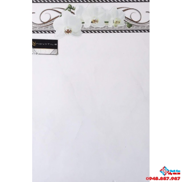 GẠCH ỐP TƯỜNG 30X45 PAK 3979