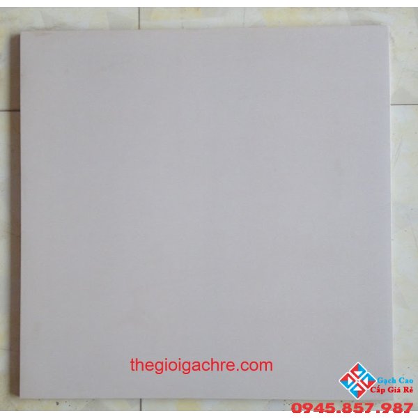 ĐÁ BÓNG KIẾNG 60X60 GIÁ RẺ 07