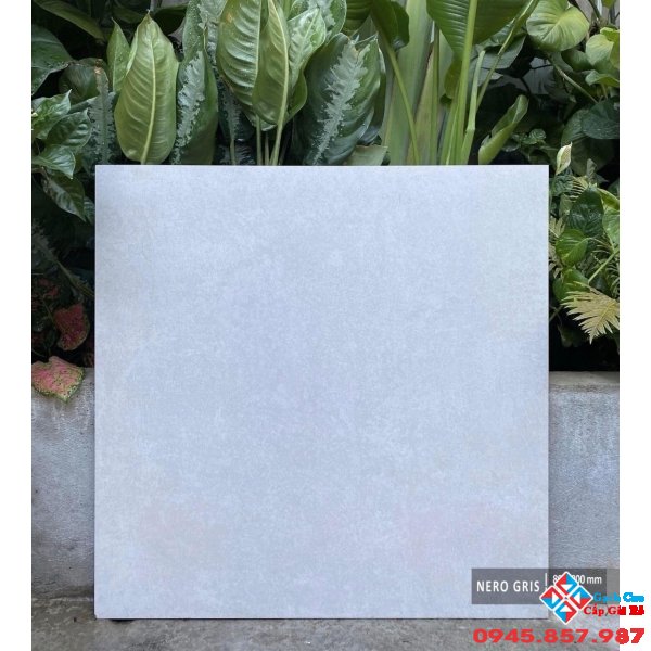 Gạch ấn độ 80x80 cao cấp hcm