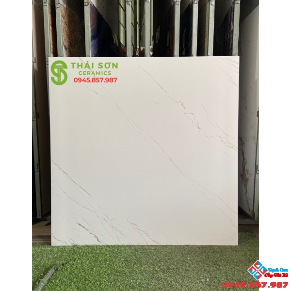 Gạch trắng mờ vân vàng 100x100 ấn độ