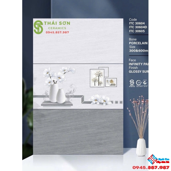 Gạch ốp tường 30x60 bóng kiếng bộ đậm nhạt cao cấp 