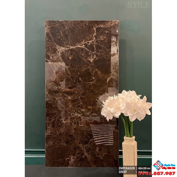 Gạch ấn độ 60x120 bóng kiếng Bình Thạnh