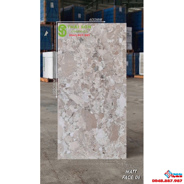 Gạch đá mài vân terrazzo 60x120 matt mờ ấn độ