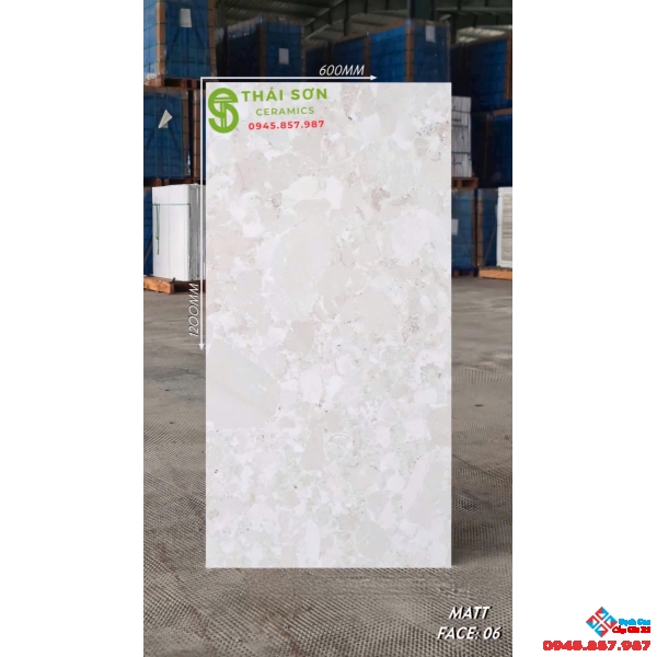 Gạch ấn độ 60x120 lát nền đá mài terrazzo giá rẻ
