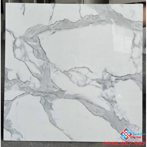 Tổng kho gạch trung quốc 60x60 ánh kim