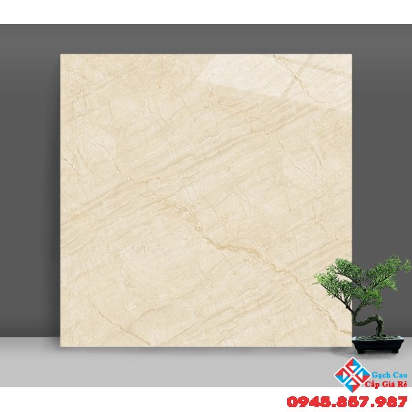Gạch bóng kiếng 60x60 catalan giá rẻ tại bình chánh