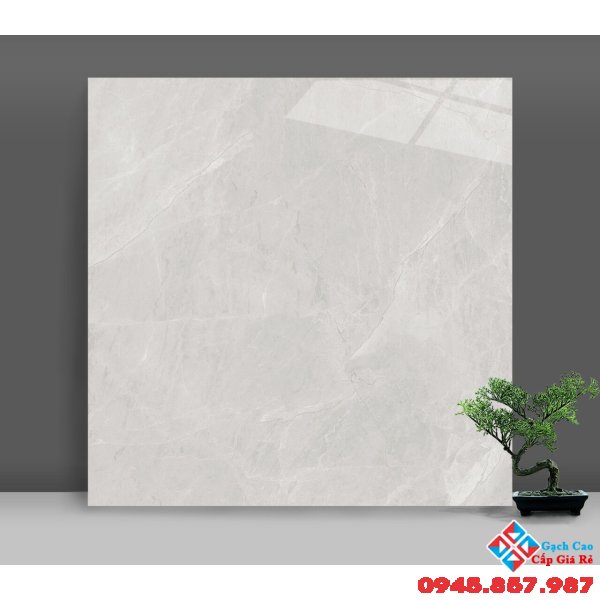 Gạch bóng kiếng trắng xám 60x60 catalan giá rẻ