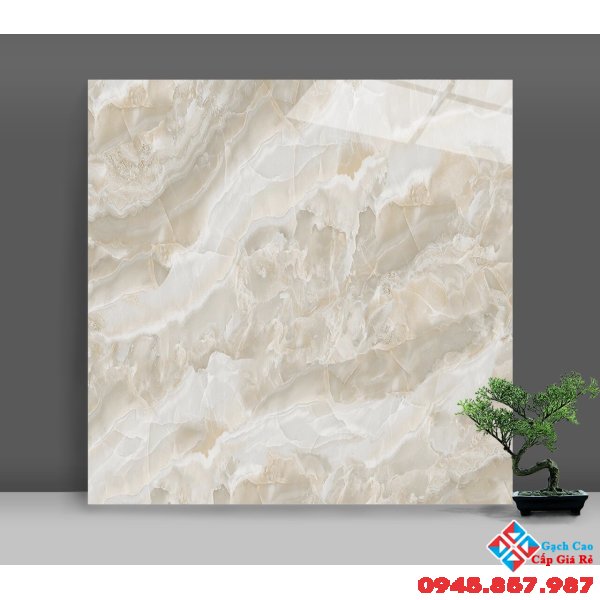 Gạch lót nền bóng kiếng 60x60 catalan giá rẻ