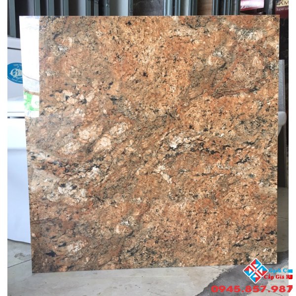 Gạch catalan 60x60 lát nền mới nhất