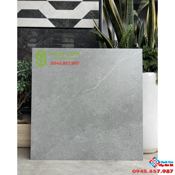 Gạch bóng mờ 60x60 lát nền giá rẻ Tiền Giang