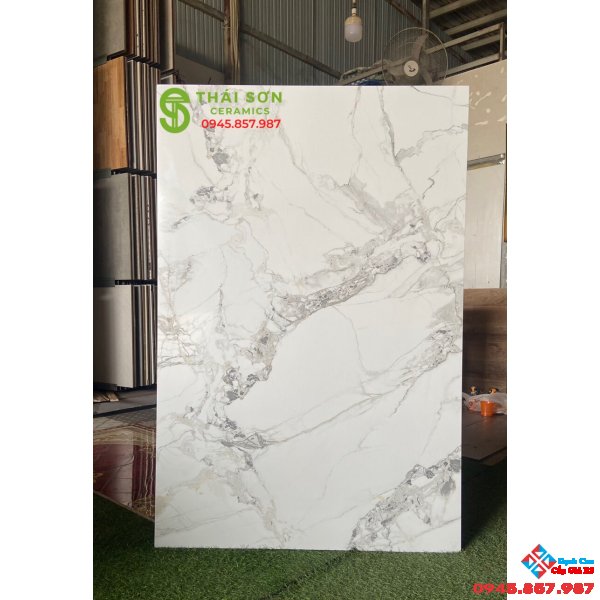 Tốp 10 mẫu gạch khổ lớn 80x120 bóng kiếng tasa đẹp