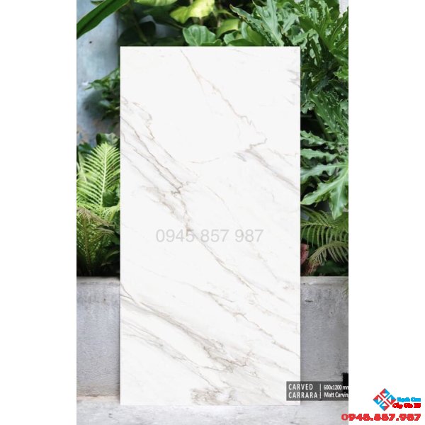Gạch 60x120 lát nền ấn độ cao cấp tại sài gòn