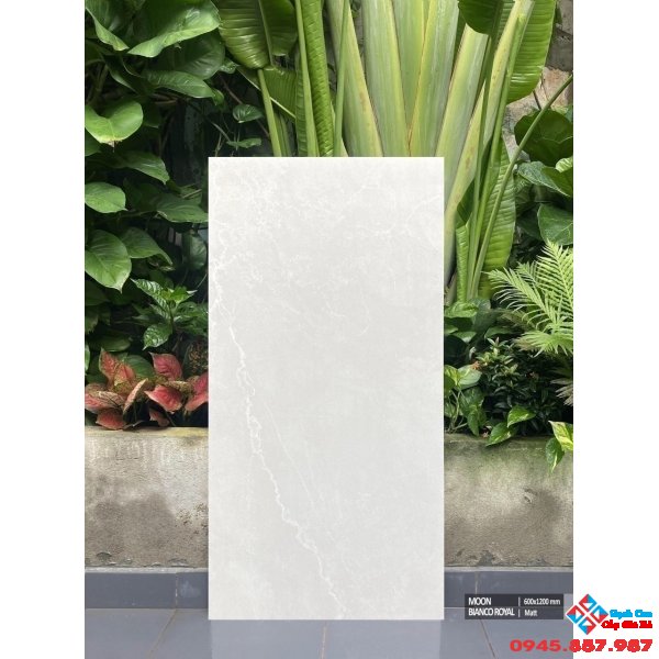 Gạch nhập khẩu 60x120 cao cấp hcm